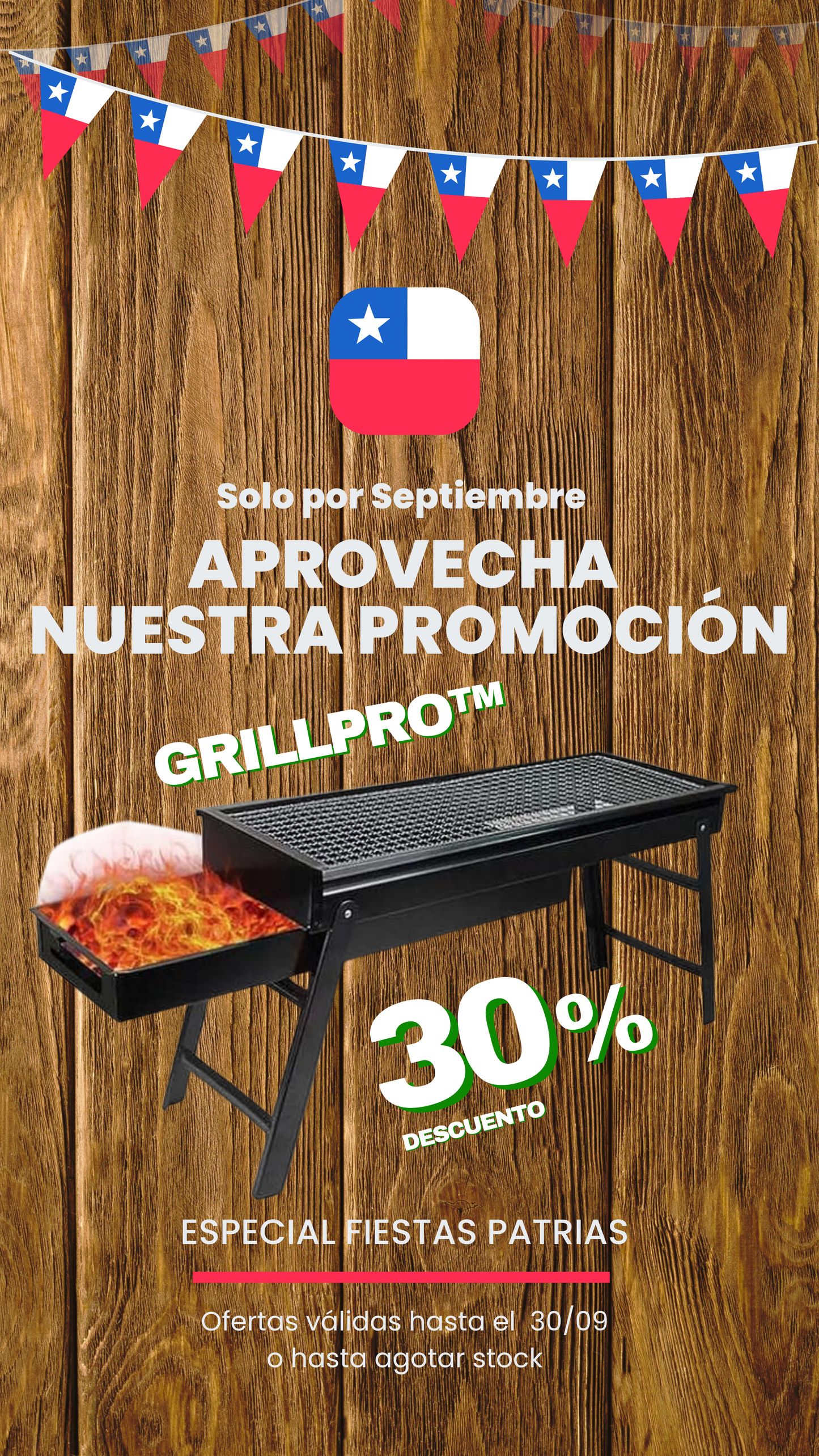 GrillPro™ Parrillera patriótica portátil a carbón super XL